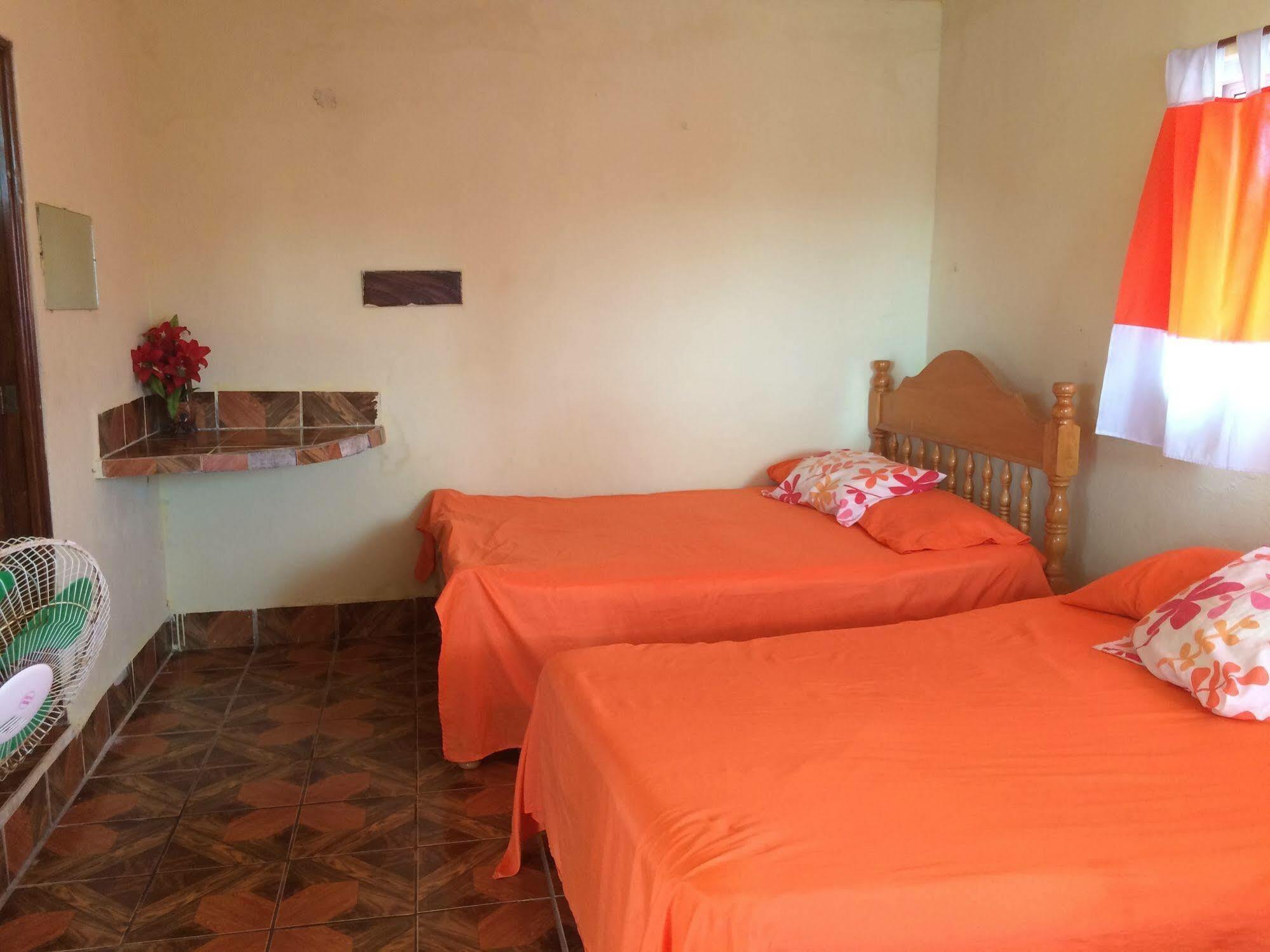 Tortugas Place Hotel Y Bungalos 몬테리코 외부 사진
